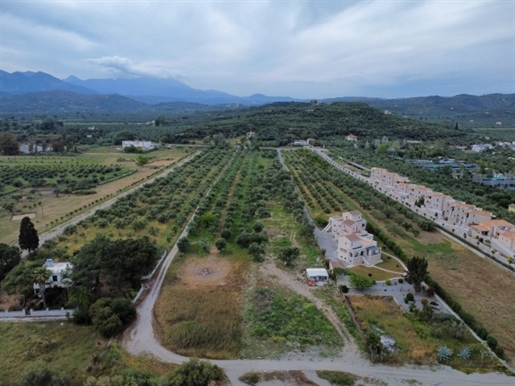 (For Sale) Land Plot out of City plans || Lakonia/Gytheio - 11.444 Sq.m, 870.000€