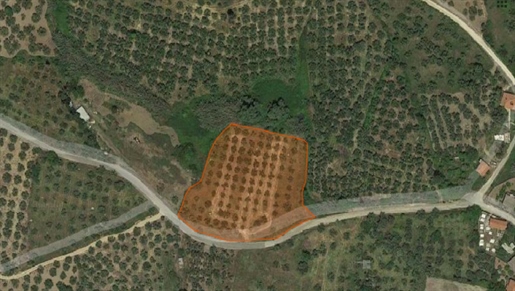 (For Sale) Land Agricultural Land || Messinia/Filiatra - 6.115 Sq.m, 50.000€