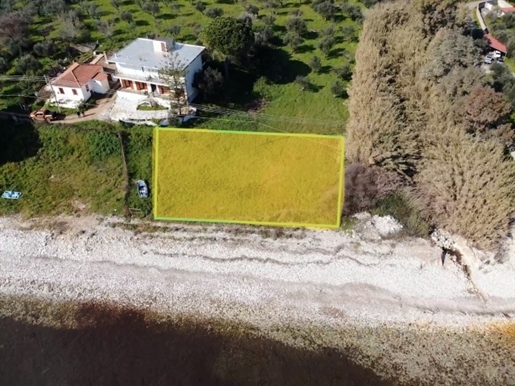 (Zu verkaufen) Nutzbares Grundstück im Dorf || Präfektur Messinien/Petalidi - 743 m², 165.000€