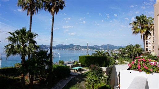 Cannes: 1 bedroom apartment directly to the Mediterranean