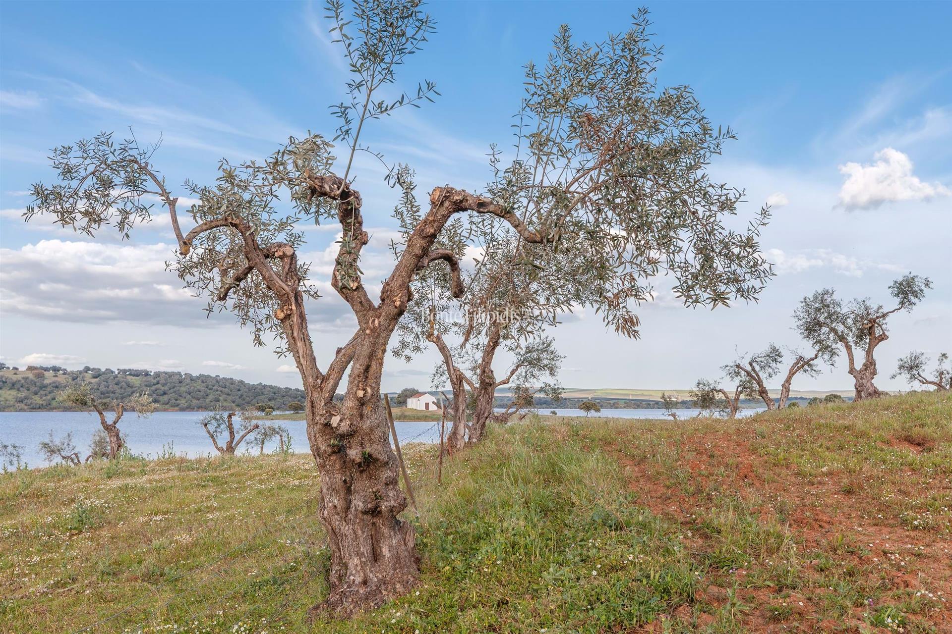 Herdade da Rocha with Panoramic Views over the Caia Reservoir