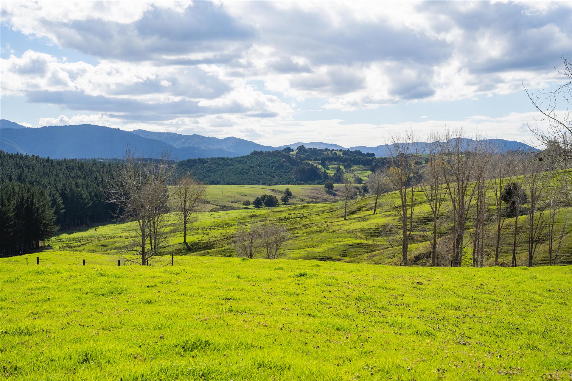 Neuseeland: Elegante Retreat-Lodge und Bio-Rinderfarm