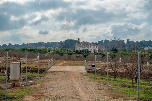 Extensive farm and land for sale in Valencia