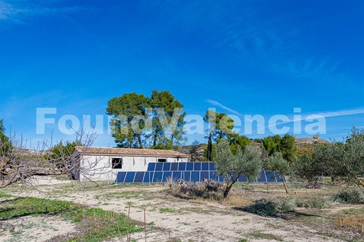 Farm with two houses and land for cultivation
