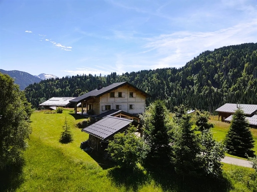 Chalet 4 chambres en pleine montagne - Héry sur Ugine 73400