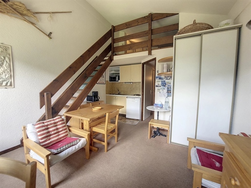 1-Zimmer-Wohnung + Zwischengeschoss + Schlafbereich in Notre-Dame-de-Bellecombe (73590)
