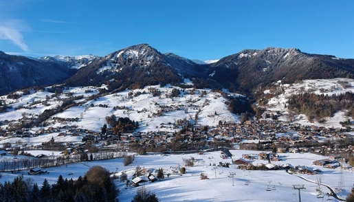 650M² building plot in Praz-Sur-Arly (74120)