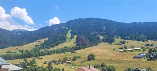 Chalet à fort potentiel et vue magnifique à Praz-Sur-Arly (74120)