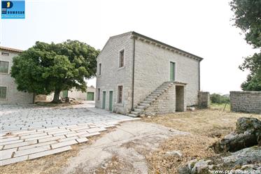 Estate 150 hectares with large farmhouses