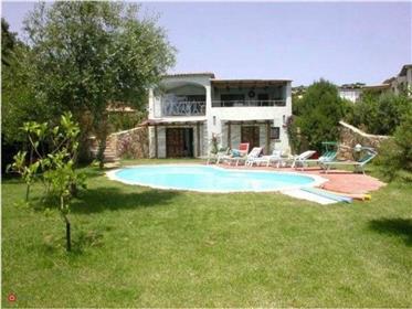 Villa with pool Pevero Golf 