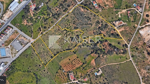 3 adjacent plots with possibility for development, close to