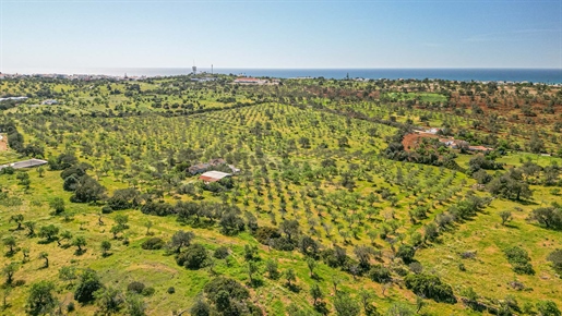 Groot perceel van 12,68 hectares, gelegen in Albufeira.