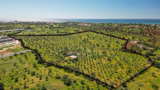 Groot perceel van 12,68 hectares, gelegen in Albufeira.