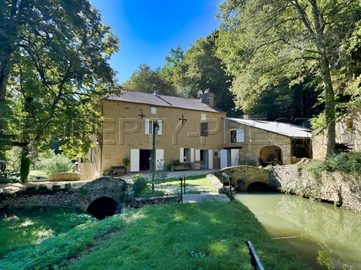 Dordogne - Wassermühle - 8 ha