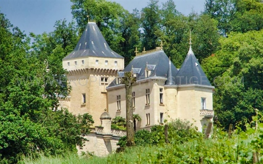 Bordeaux â Château Viticole â XVIème 100 Ha