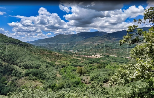 Espagne Finca Rural y Forestal + 1000 ha