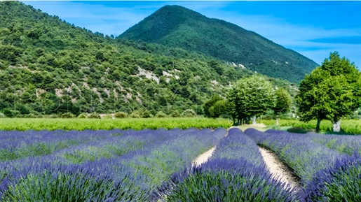 Provence â Ferme Agricole â 130 Ha â Sources â Lacs