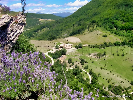 Provençaalse Drôme â Domaine 28 ha â Plein Nature