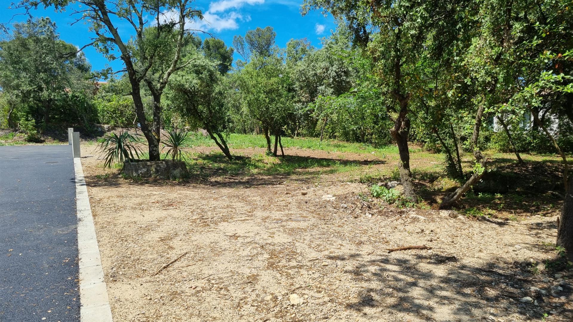 Purchase: Land (30250)
