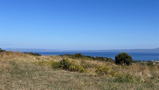 Αγροτικό, 13500 τμ, προς πώληση