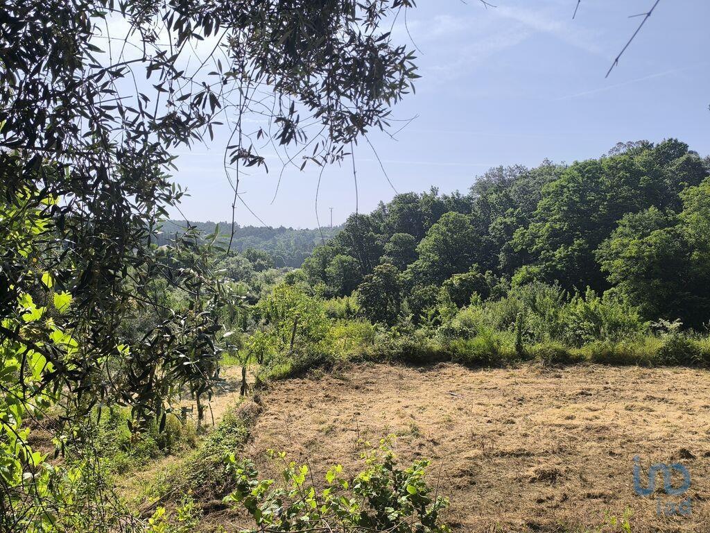 Ground in São Cipriano e Vil de Souto with 1670,00 m²