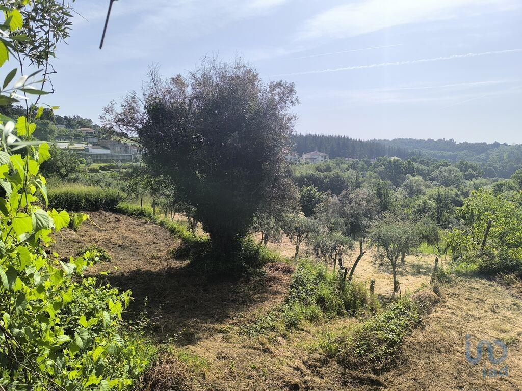 Ground in São Cipriano e Vil de Souto with 1670,00 m²