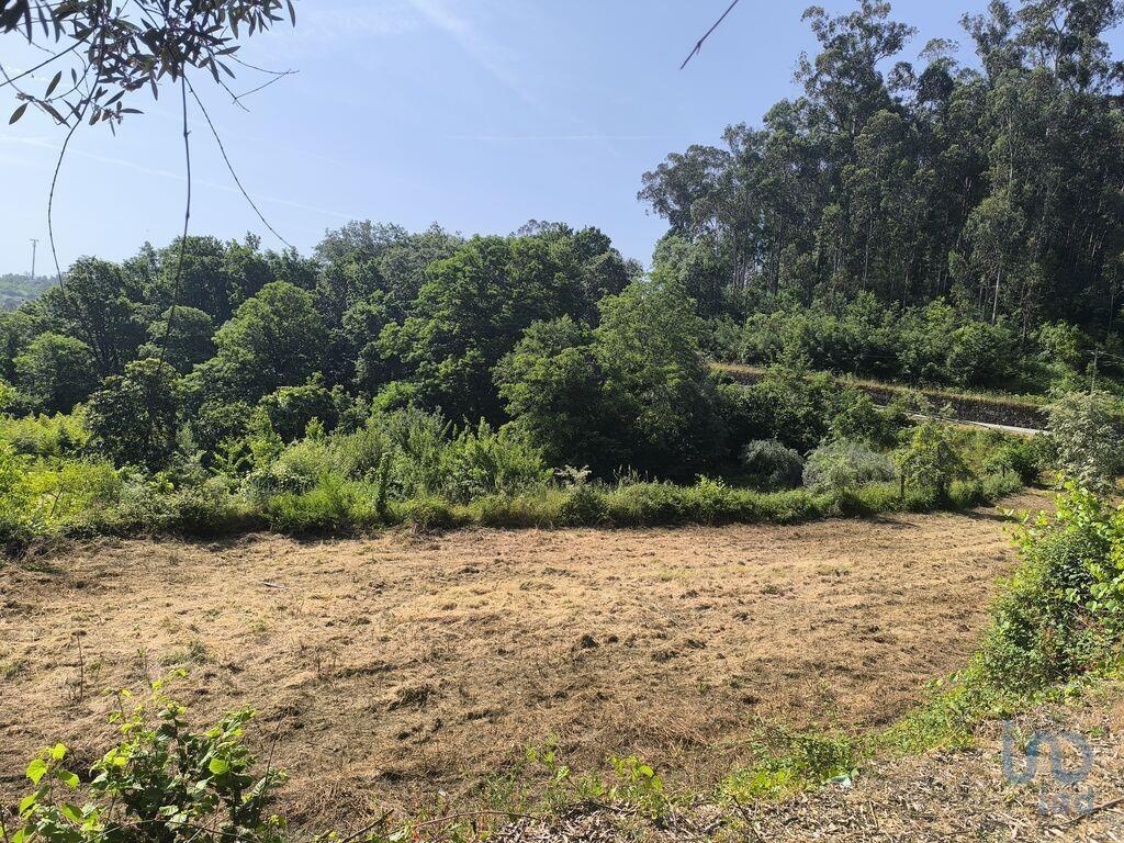 Ground in São Cipriano e Vil de Souto with 1670,00 m²