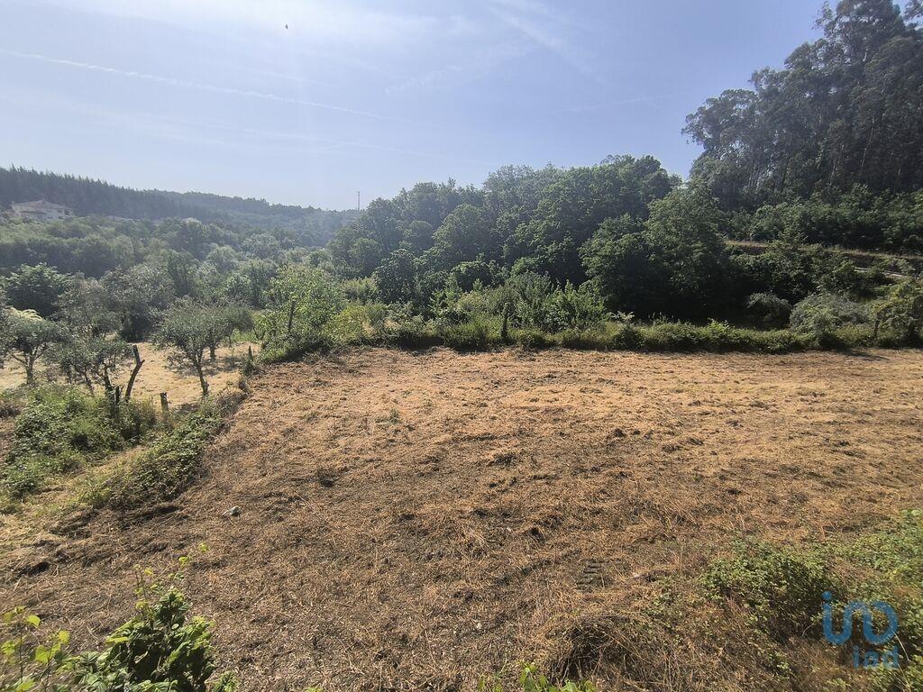 Ground in São Cipriano e Vil de Souto with 1670,00 m²