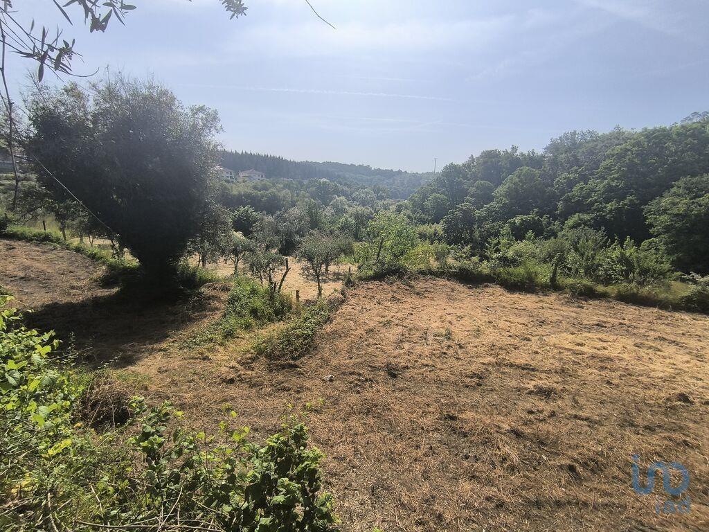 Ground in São Cipriano e Vil de Souto with 1670,00 m²