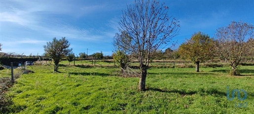 Tierra en el Viseu, Castro Daire