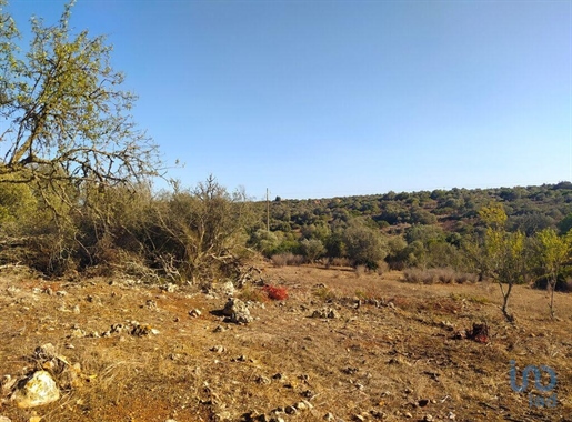 Terra del tempo libero a Lagos, Faro