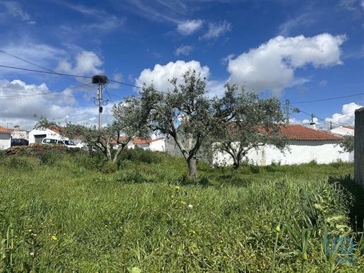 Terreno em Santa Cruz de 645,00 m²