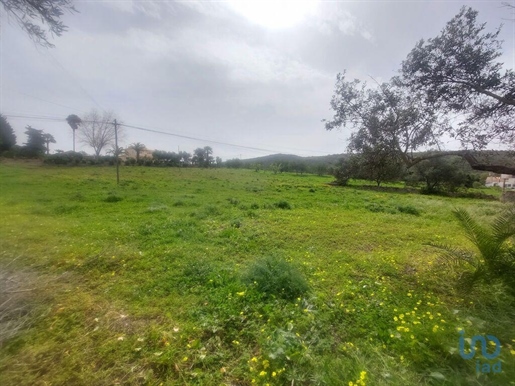 Landwirtschaftliche Flächen in Faro, Faro