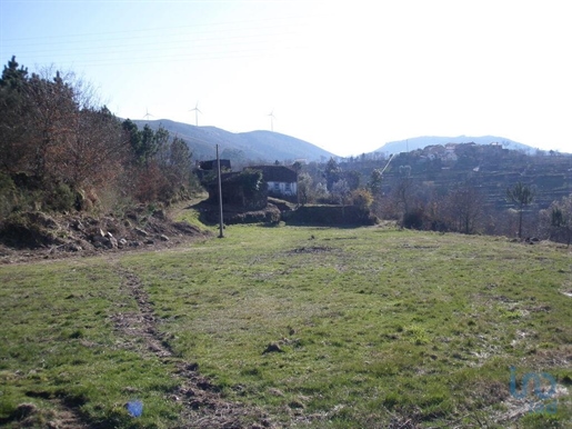 Fifth in Viseu with 70000,00 m²