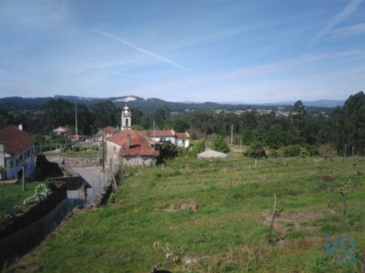 Ferme à Viana do Castelo de 14054,00 m²