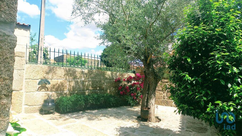 Startseite / Villa in Sabrosa, Vila Real