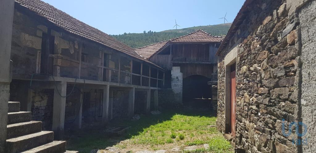 Fünfte in Montalegre, Vila Real