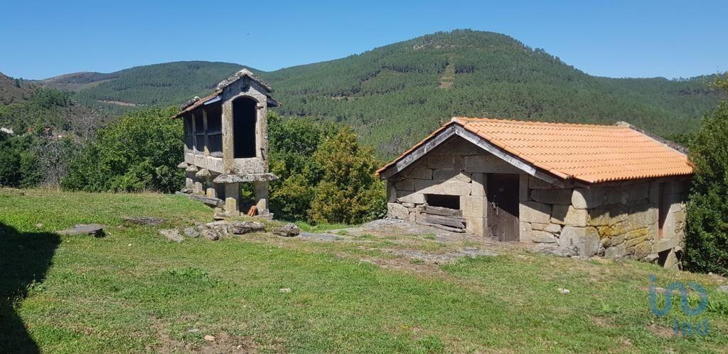 Fünfte in Montalegre, Vila Real