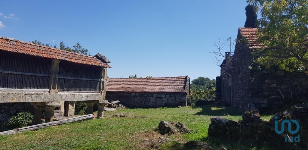 Fünfte in Montalegre, Vila Real