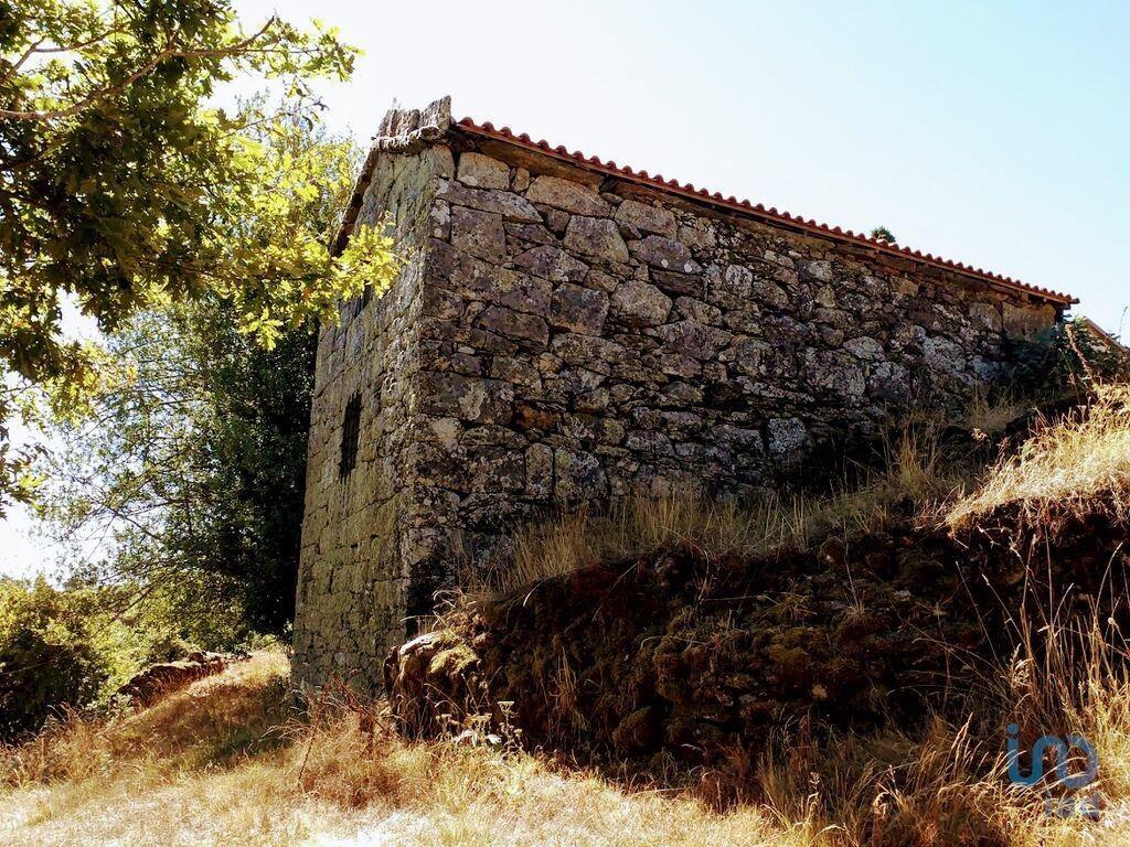 Fünfte in Montalegre, Vila Real
