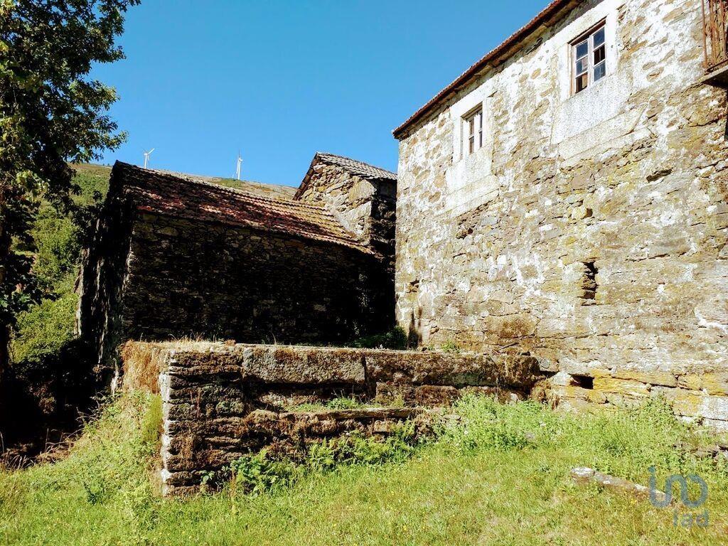 Fünfte in Montalegre, Vila Real