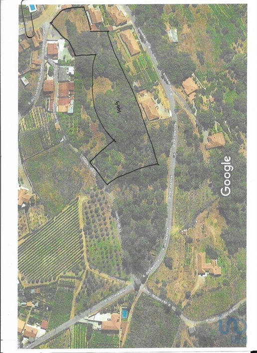 Terrain à Porto de 6536,00 m²