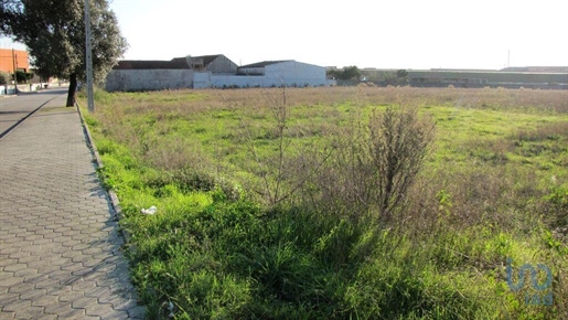 Construction land in Oliveirinha with 9007,00 m²