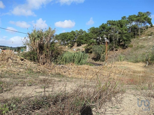 Ground in Santo Isidoro with 1182,00 m²