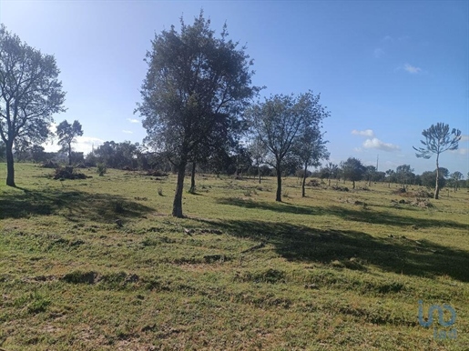 Agricultural Land in Setúbal with 332860,00 m²