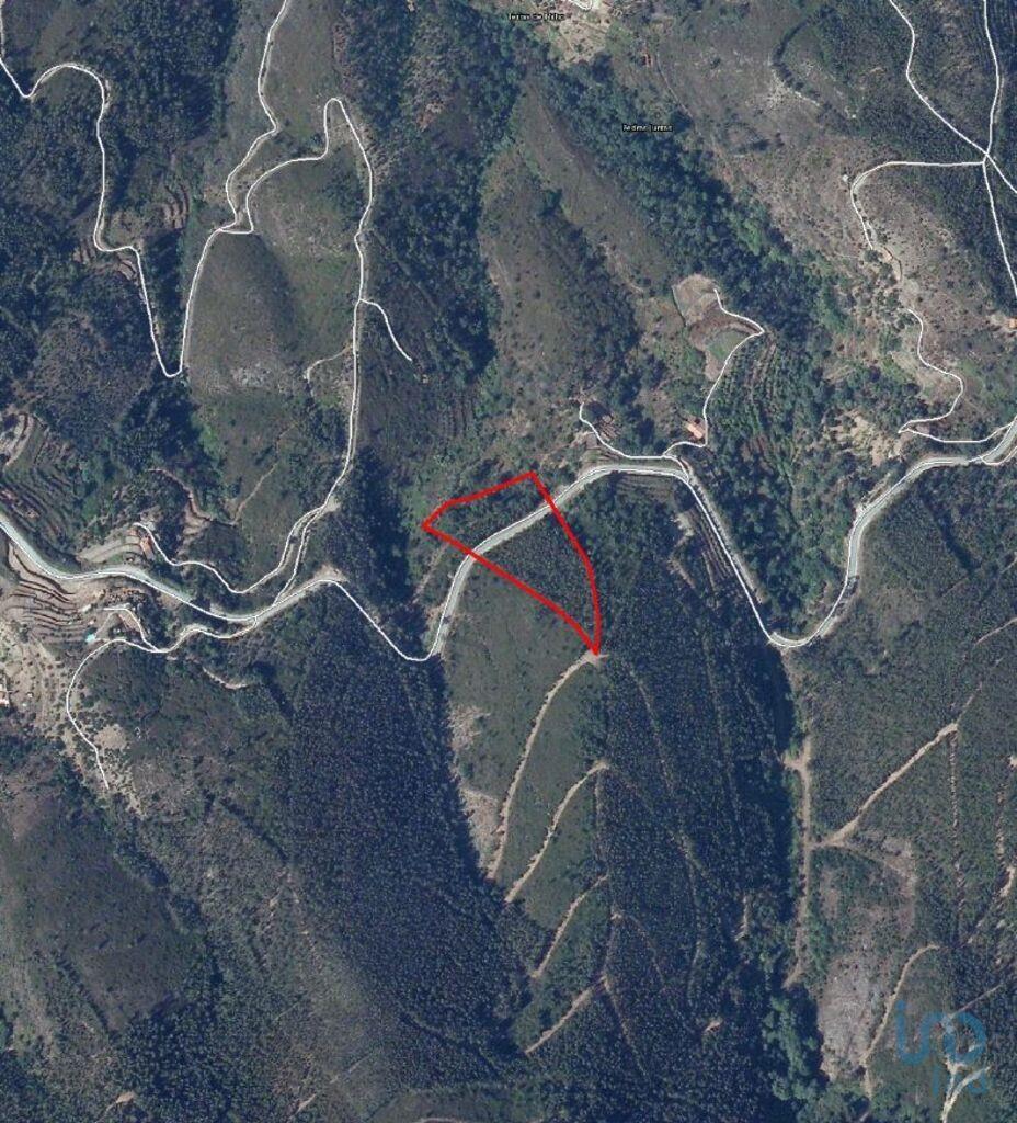 Terrain à Monchique de 928,00 m²