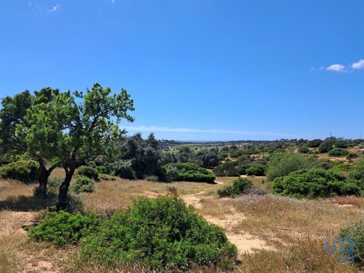Tierra en el Faro, Lagoa (Algarve)