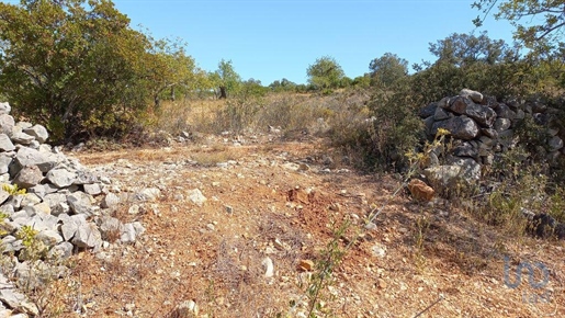 Tierra en el Faro, Loulé