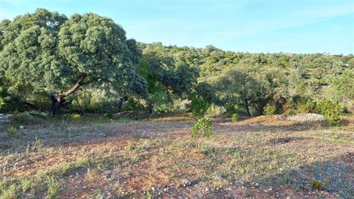 Ground in Santa Bárbara de Nexe with 1880,00 m²