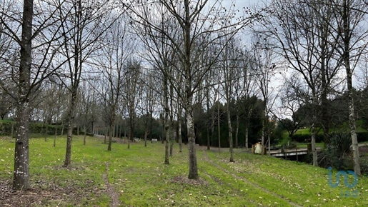 Ground in Viseu with 52900,00 m²